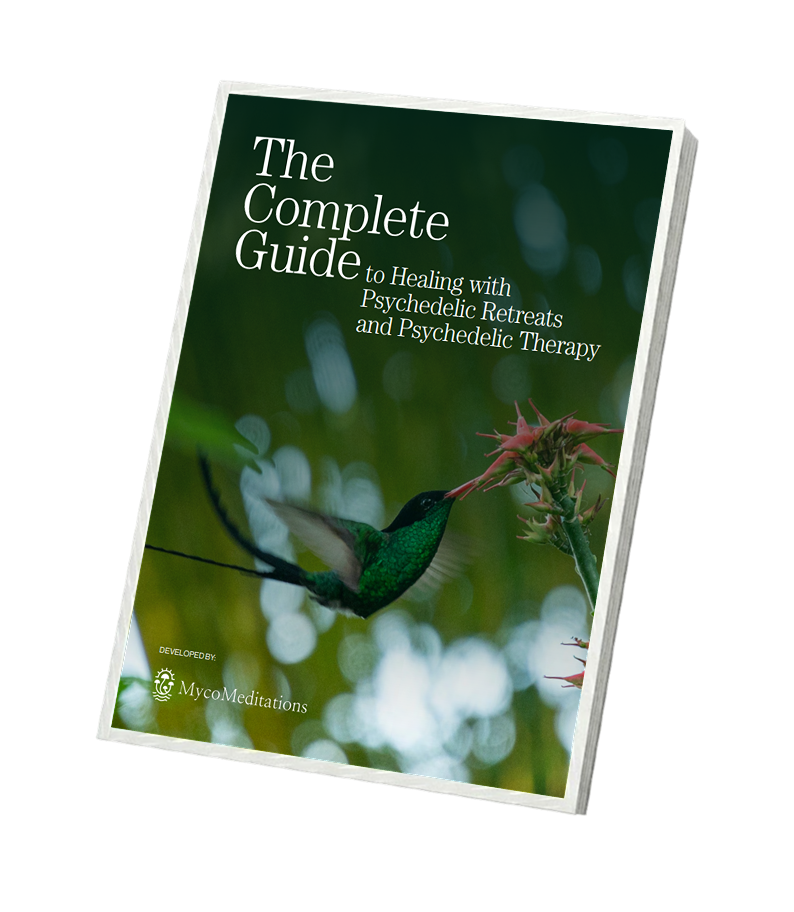 The Complete Guide cover