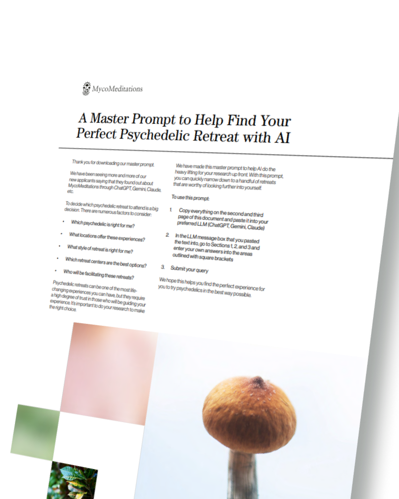 Discovery your best cover