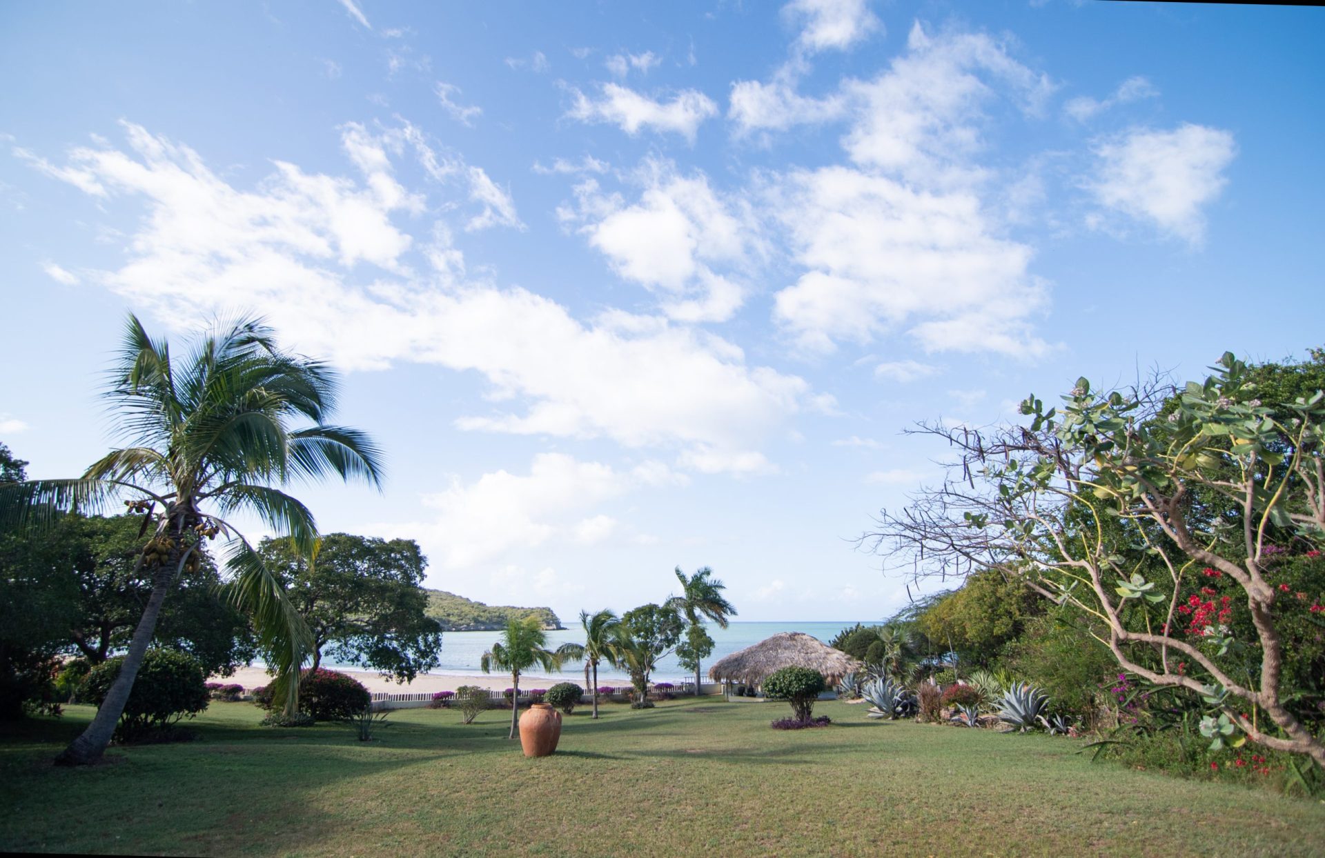 Blue Marlin oceanfront psychedelic retreat in Jamaica