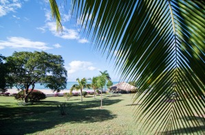 The Blue Marlin location of MycoMeditations psilocybin retreats