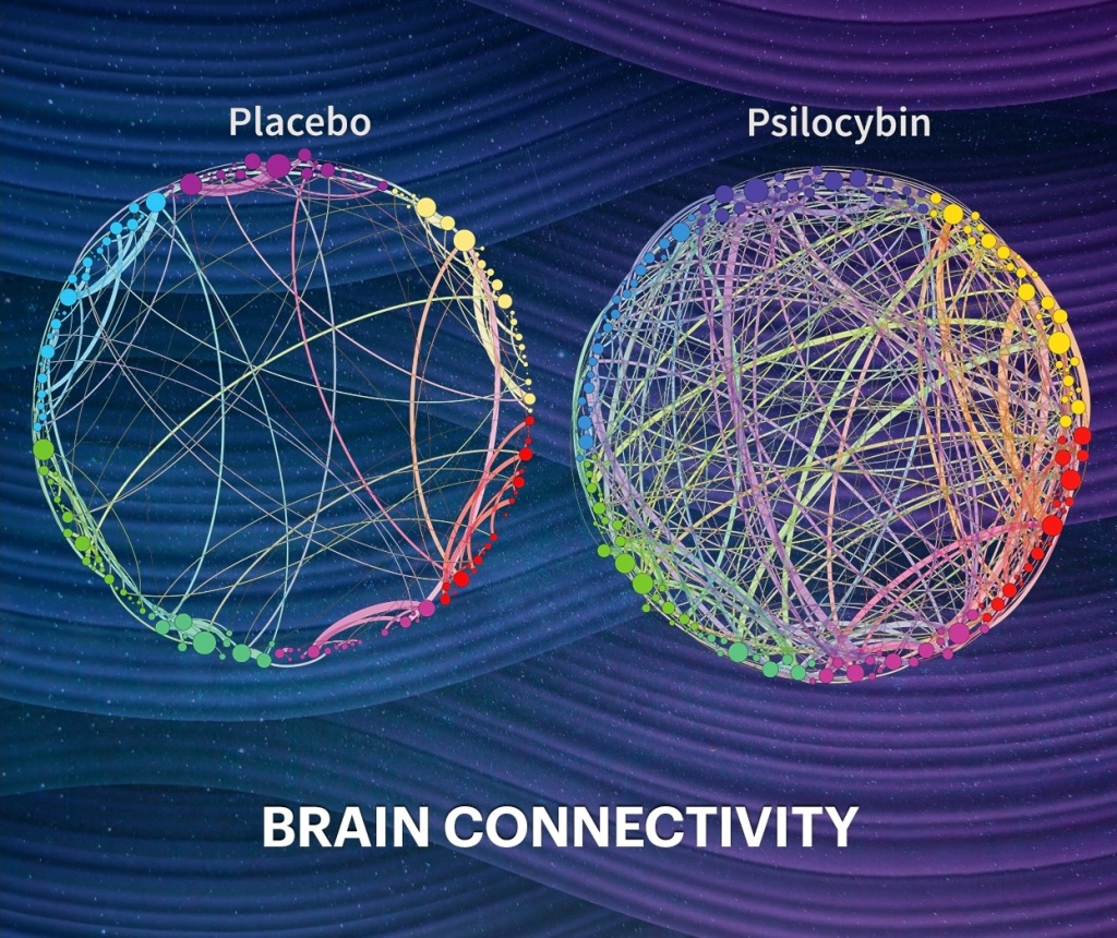 Two graphics showing that psilocybin increases brain connectivity when compared to placebo
