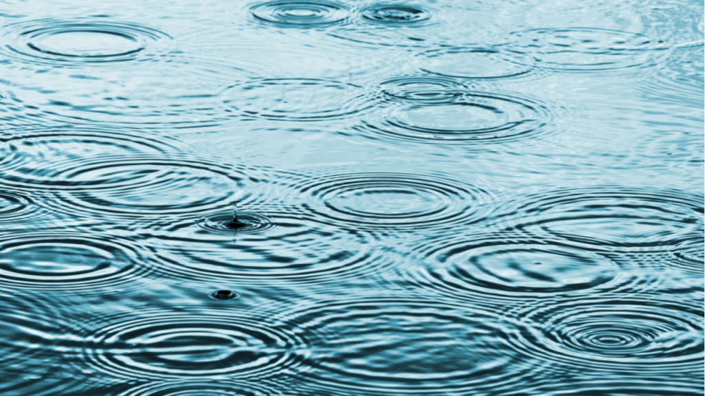 Rain droplets creating ripple effect