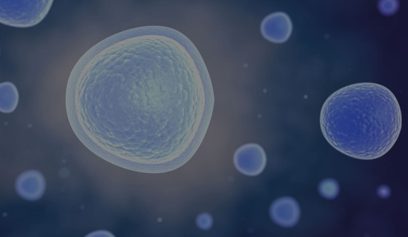 A microscopic depiction of human cells, with one glowing to indicate inflammation.