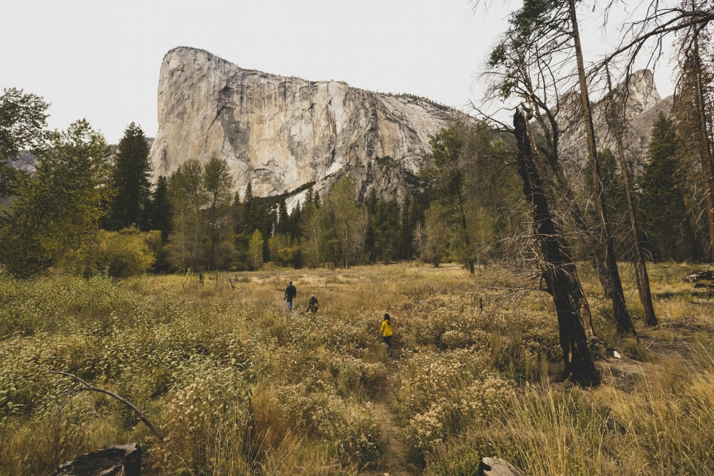 People walking through a field surrounded by trees with a mountain peak in the background.